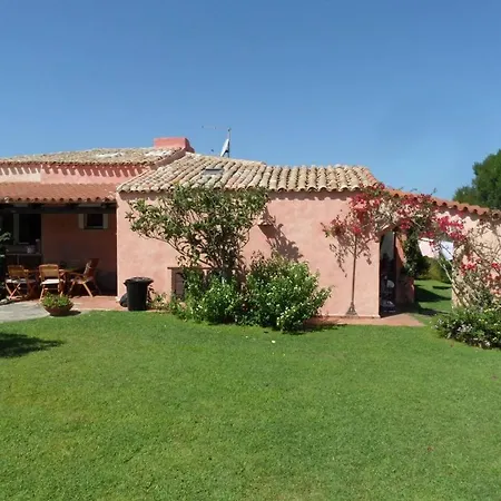 Vela Marina